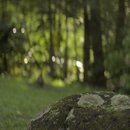 Limpinwood Lodge エクステリア 写真
